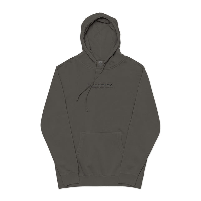 WD Regular Fit Embroidered Hoodie
